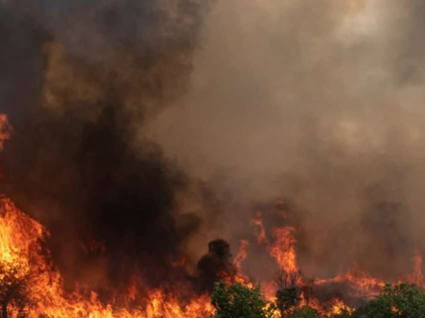 1,500 të evakuuar nga një zjarr masiv në Spanjë