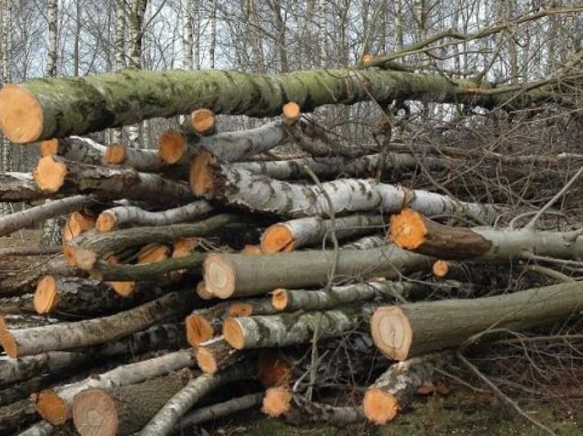 Tragjike, vdes një person nga Podujeva derisa po priste dru