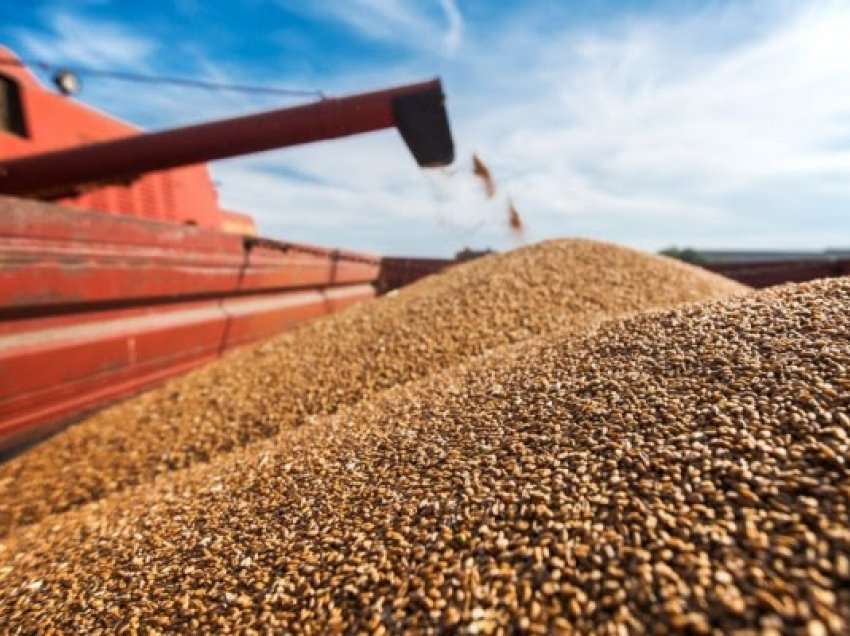 OKB: Bjellorusia do të lejojë Ukrainën të eksportojë grurë në të gjithë territorin e saj