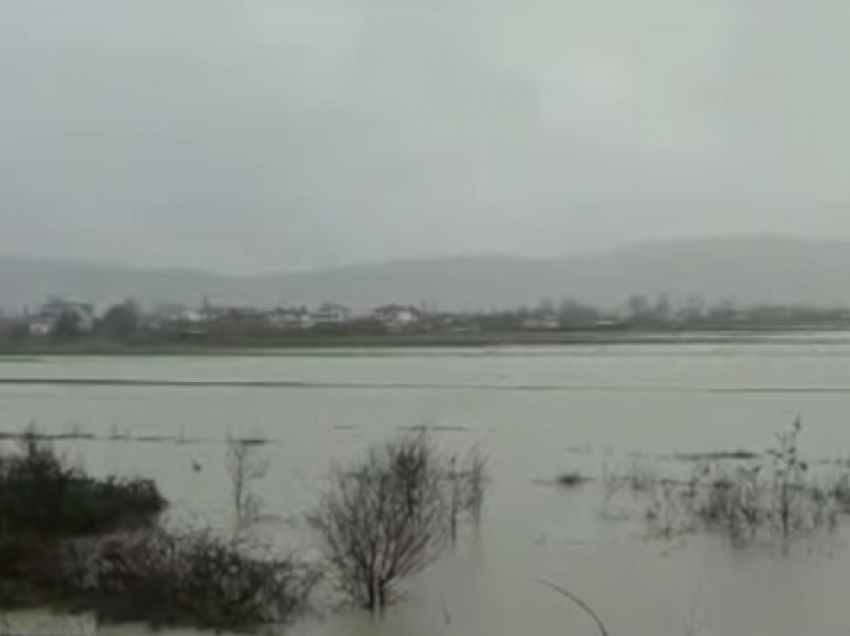 Situata në Durrës/ Asnjë prej familjeve të përmbytura nuk është evakuuar, 20 shtëpi nën ujë