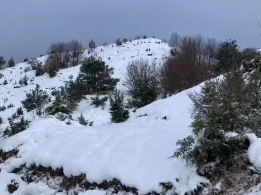 Ulje temperaturash, Malësia e Krujës mbulohet nga bora, në disa zona trashësia shkon deri në 7 cm