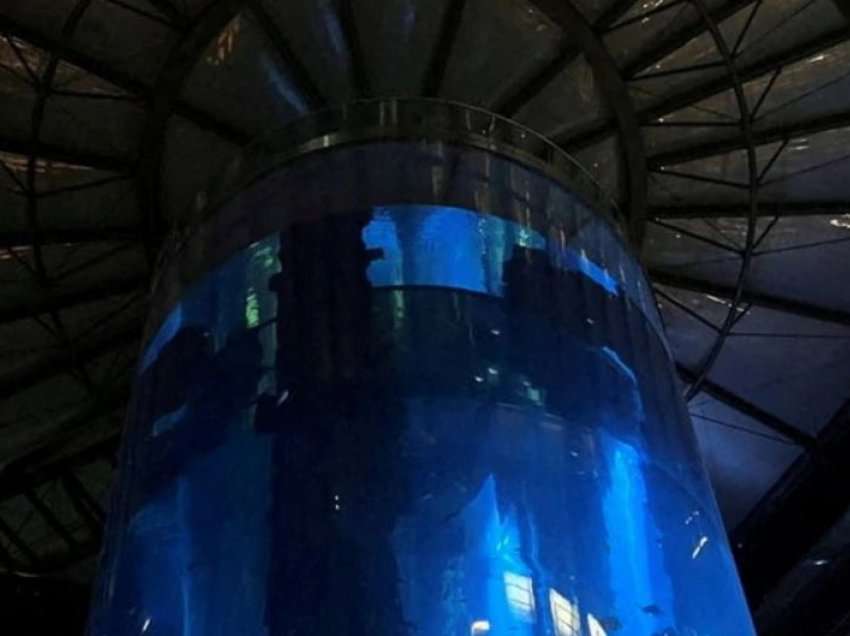 VOA/ Shpërthen akuariumi gjigant në Berlin, ngordhin 1500 peshq