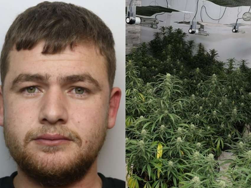 I lidhur me krimin e organizuar të trafikut të drogës/ Shqiptari arrestohet në ‘shtëpinë e barit’ në Angli