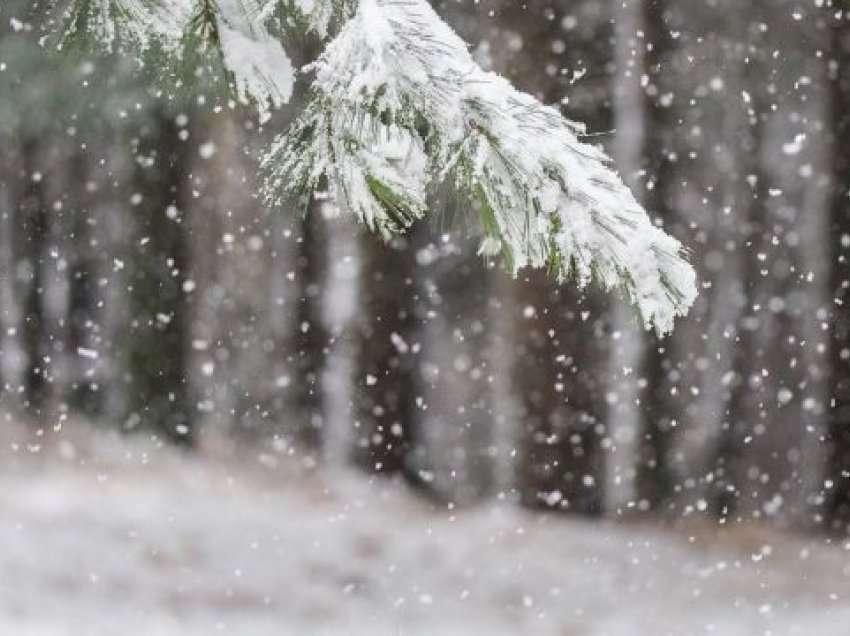 Parashikimi i motit/ Këtë ditë rikthehen reshjet e borës në Kosovë