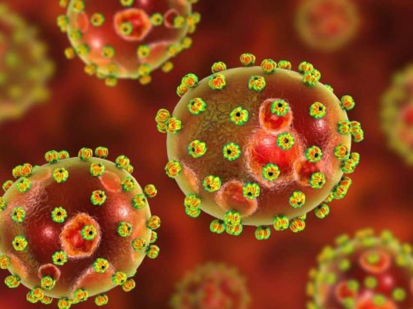 Dy persona në Angli infektohen me virusin “Lassa”
