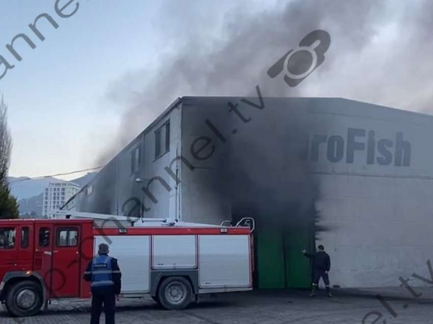 Zjarr në magazinat e një fabrike peshku në Lezhë, detajet e para