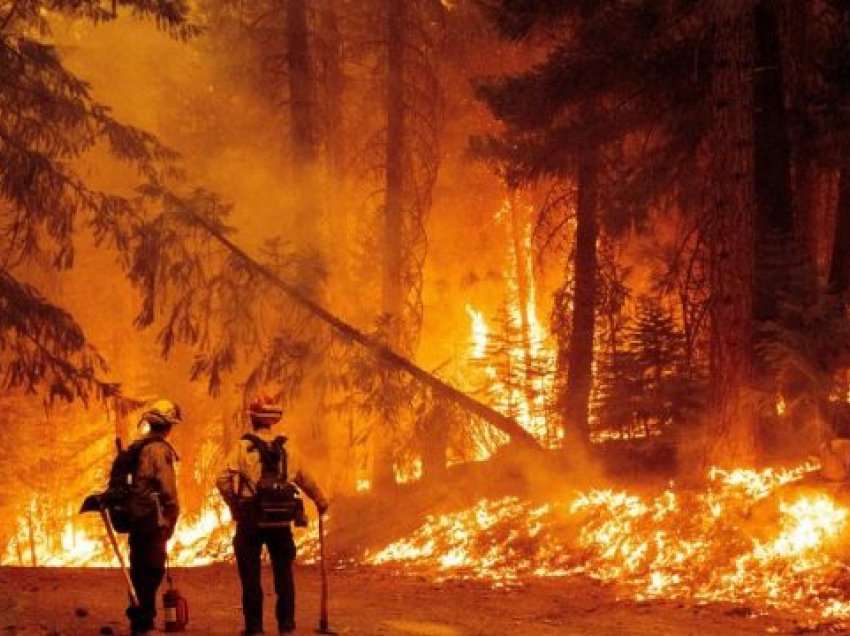 Alarmon OKB: Zjarret ekstreme do të rriten me 50% brenda shekullit