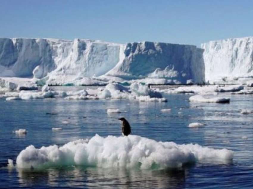 Po ndodhin ndryshimet klimatike, shkrirja e Arktikut kërcënim i trefishtë