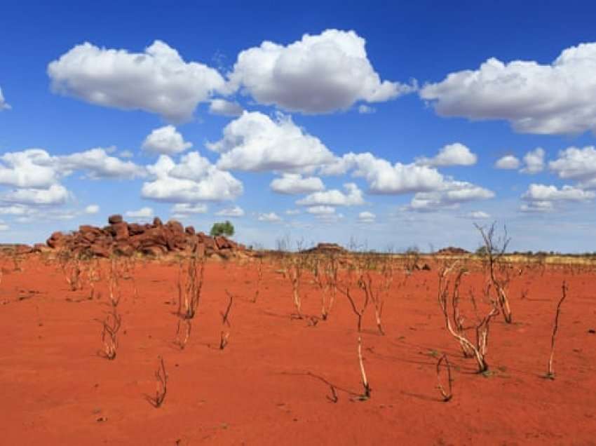 Shënohet rekordi i ditës më të nxehtë në Australi, temperatura arrin në 50 gradë