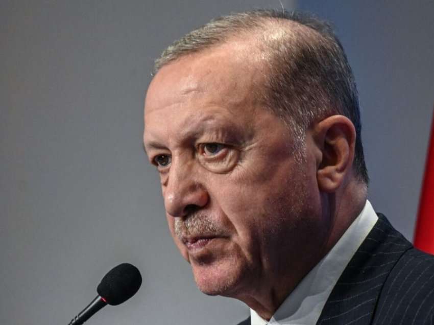 Rel/ Erdogan dhe Vuçiq pajtohen për të ndërmjetësuar bisedimet për krizën në Bosnje