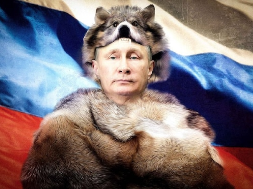 Ujku rus: Me kalkulim të qartë, Putini drejton qengjat evropianë para tij