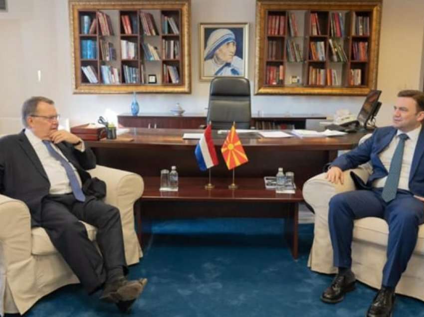 Osmani në takim me Dirk Jan Kop: Holanda është partner i rëndësishëm i Maqedonisë së Veriut