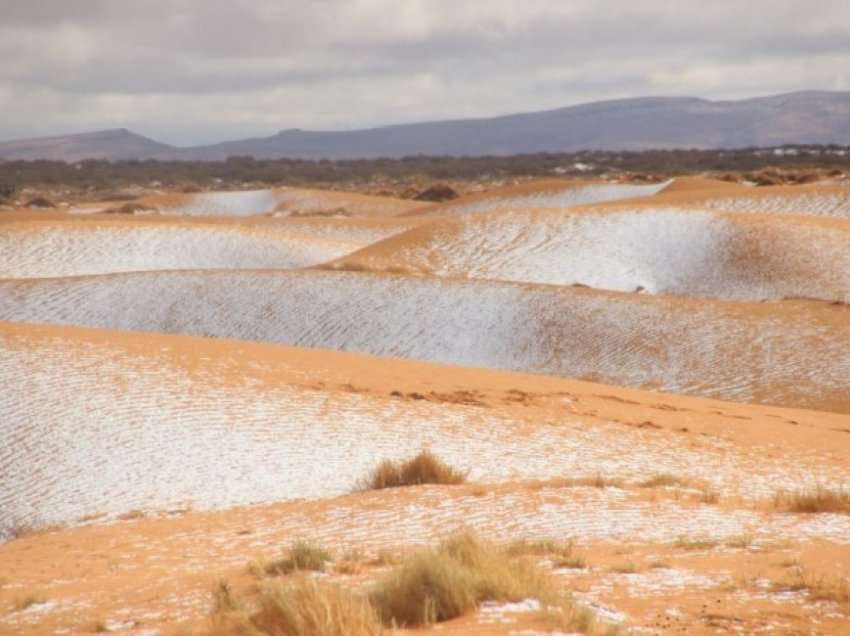 Pse bora në shkretëtirën e Saharasë është një spektakël që shqetëson ekspertët?