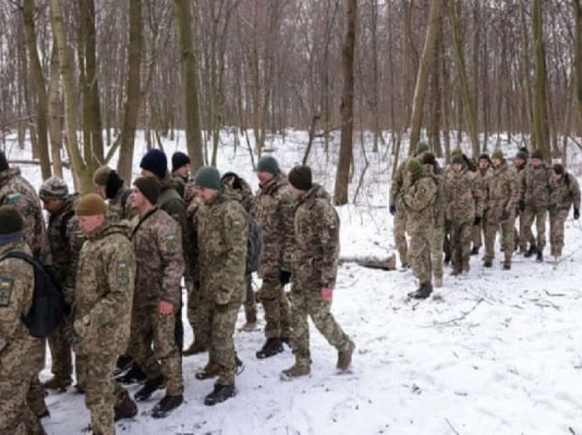 ​Pjesa e dytë e ndihmës ushtarake amerikane mbërriti në Ukrainë
