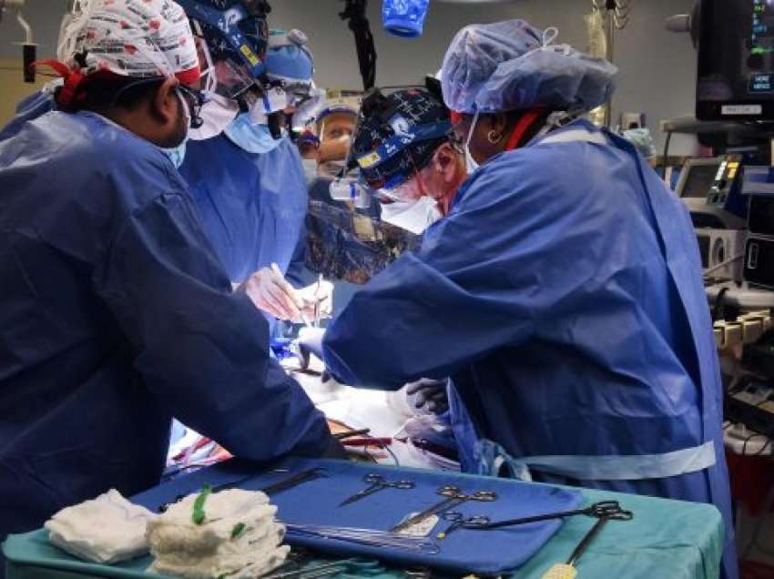 Habiti botën me transplantin e zemrës së derrit te njeriu, kirurgu tregon sekretin