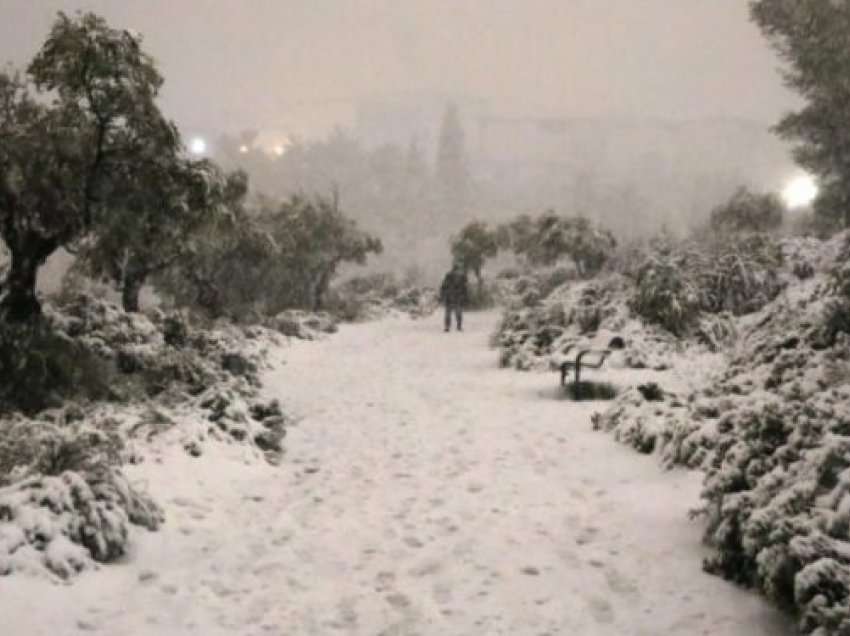Jerusalemi zbardhet nga bora