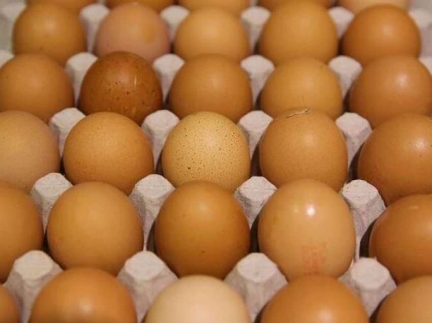 E vërteta e hidhur e vezëve që blini në dyqan