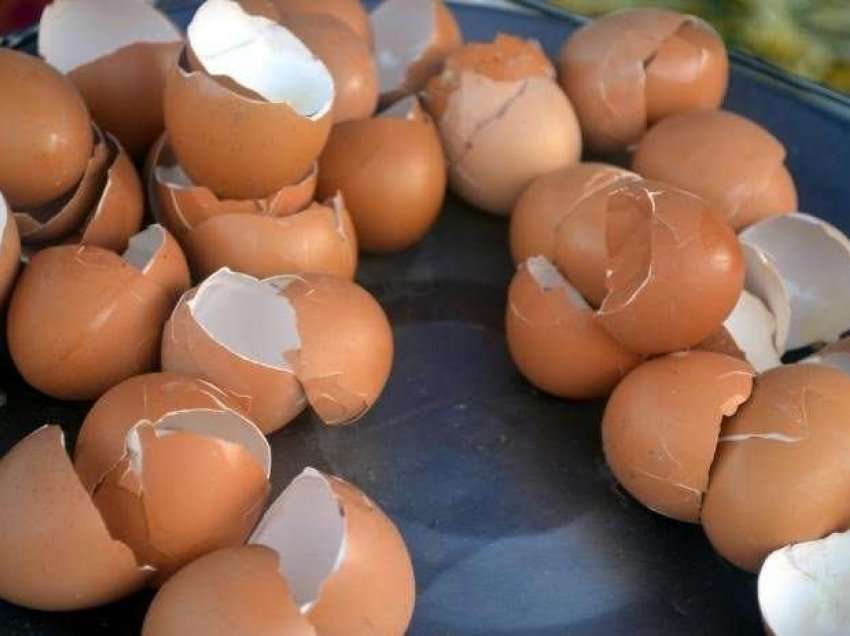 Mos e hidhni lëvozhgën e vezës, ka më shumë kalcium se çdo ushqim
