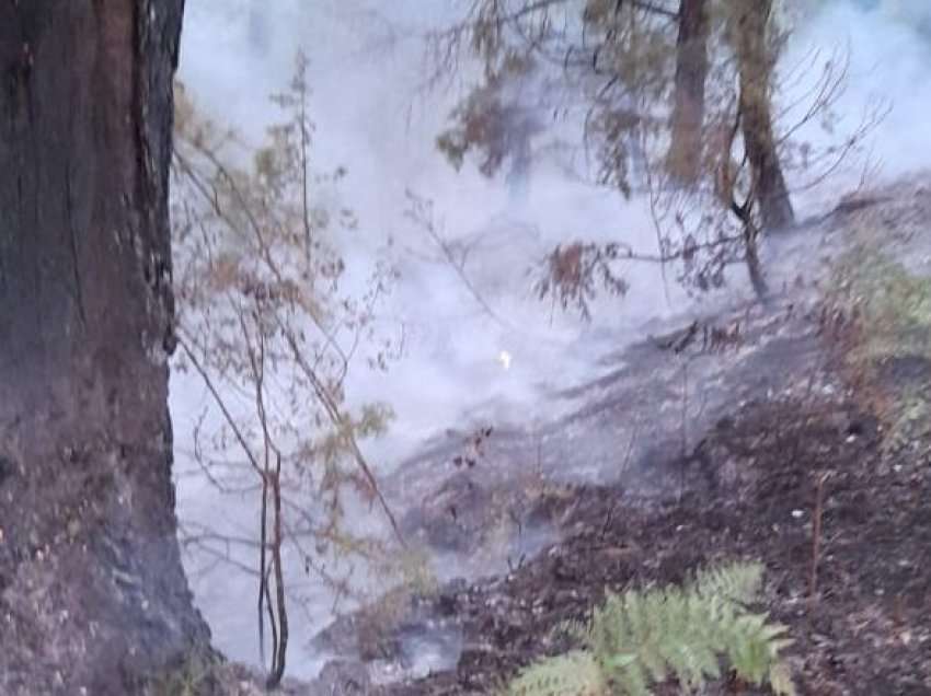 Zjarri në malin e Çikës/ Flakët po i afrohen fshatit Dhërmi