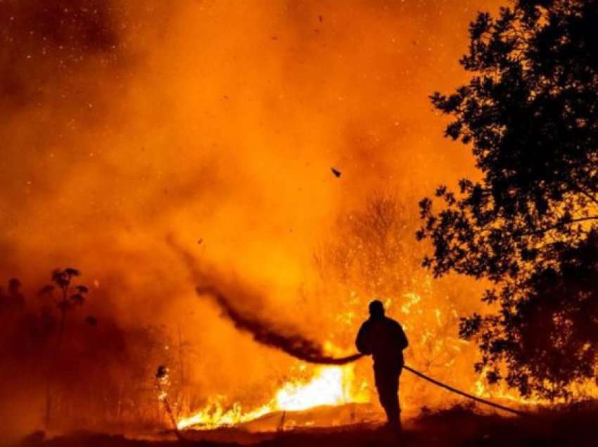 Digjet Evropa, rreth 300 viktima nga zjarret dhe mbi 7000 hektarë tokë e djegur
