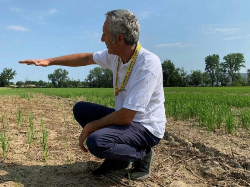 Itali, prodhimi bujqësor në rrezik si pasojë e thatësirës së madhe