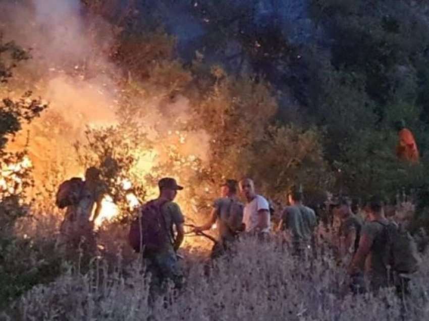220 vatra zjarri prekin sipërfaqet pyjore në Shqipëri 