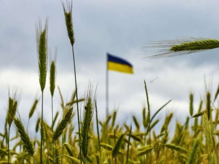Gjermania planifikon të transportojë me trena drithërat ukrainase