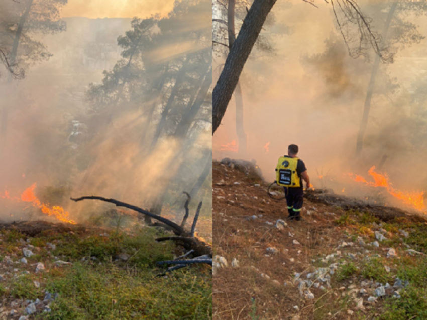 Aktivizohet një vatër zjarri në Elbasan, rrezikohen pishat! Flakët u shkaktuan nga….