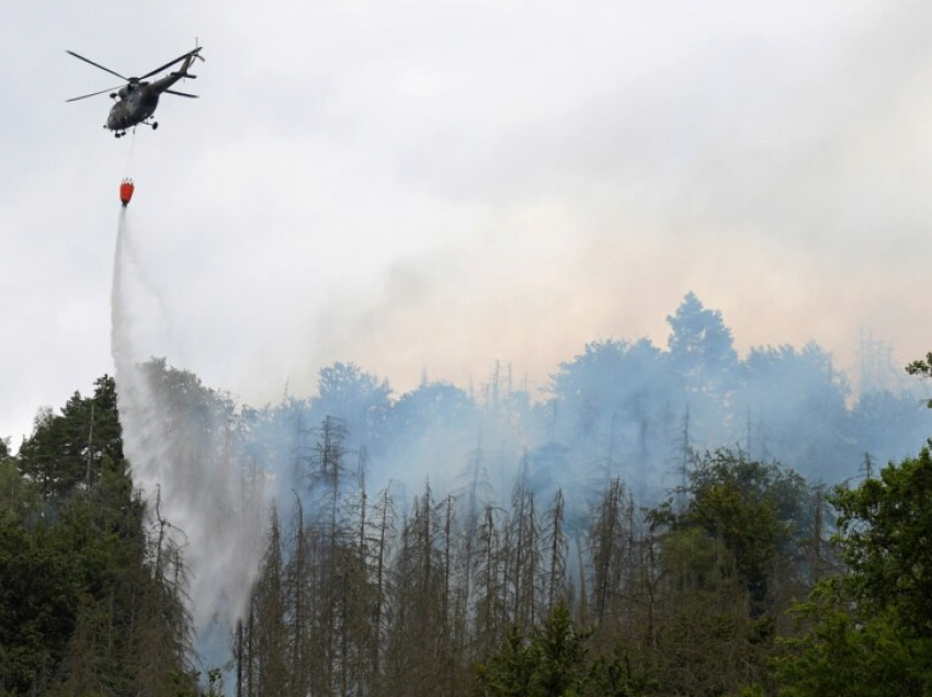 Zjarrfikësit luftojnë me flakët në një park kombëtar të Çekisë