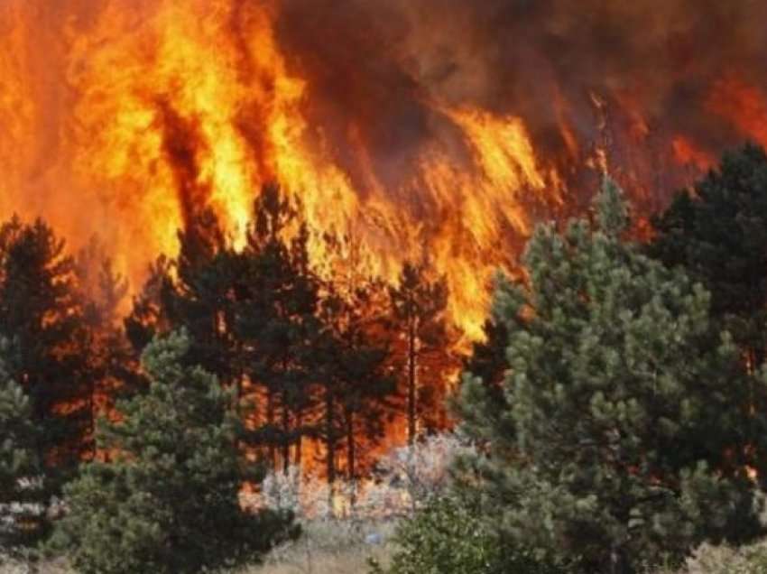15 vatra zjarri gjatë orëve të fundit në Shqipëri