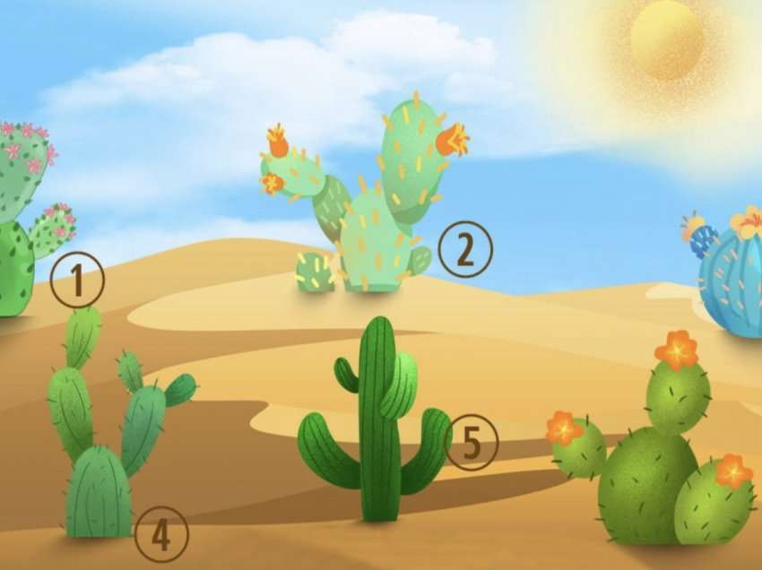 Zgjidhni një kaktus dhe zbuloni se çfarë thotë zëri juaj i brendshëm