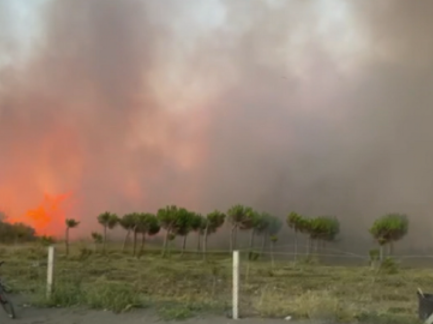 Zjarret në pyje! Zjarrfikësit në Tiranë shtojnë edhe tre stacione të reja