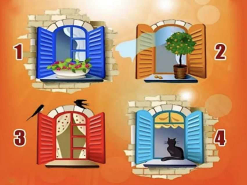 Cilën dritare do të zgjidhnit? Çfarë dëshironi të kërkoni në botë?