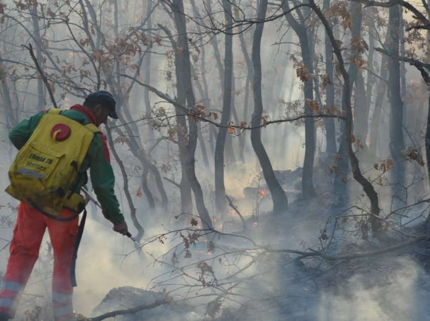 Zjarr në Malishevë, digjen dhjetëra hektarë pyje