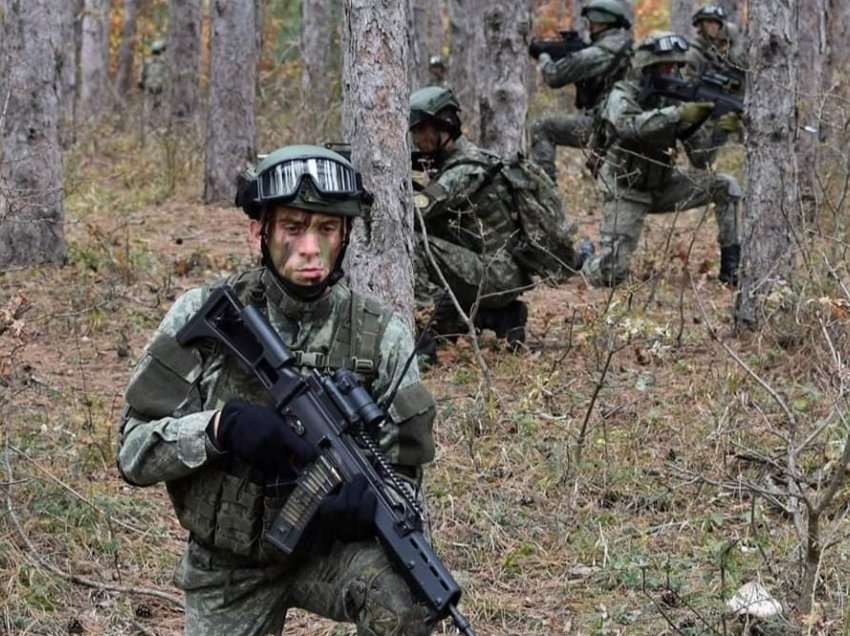 “Ballkani është i rrezikuar nga Serbia”/ Eksperti i sigurisë i kundërpërgjigjet Serbisë: Kosova ka Ushtrinë, Policinë dhe armatim...