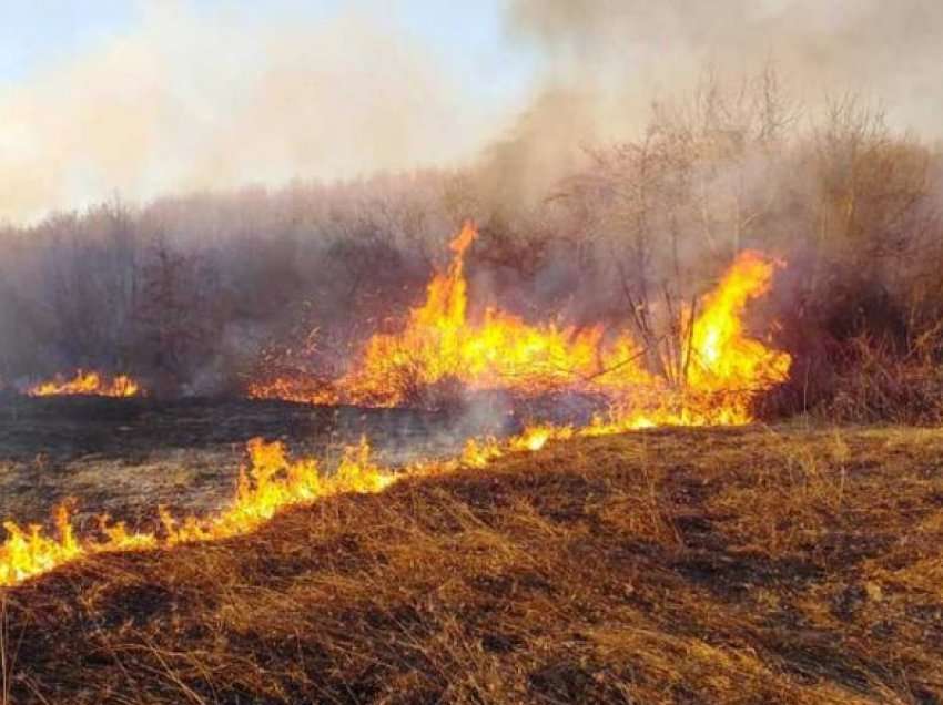 Zjarre në Rahovec e Vushtrri – digjen pyje e stalla të bagëtive