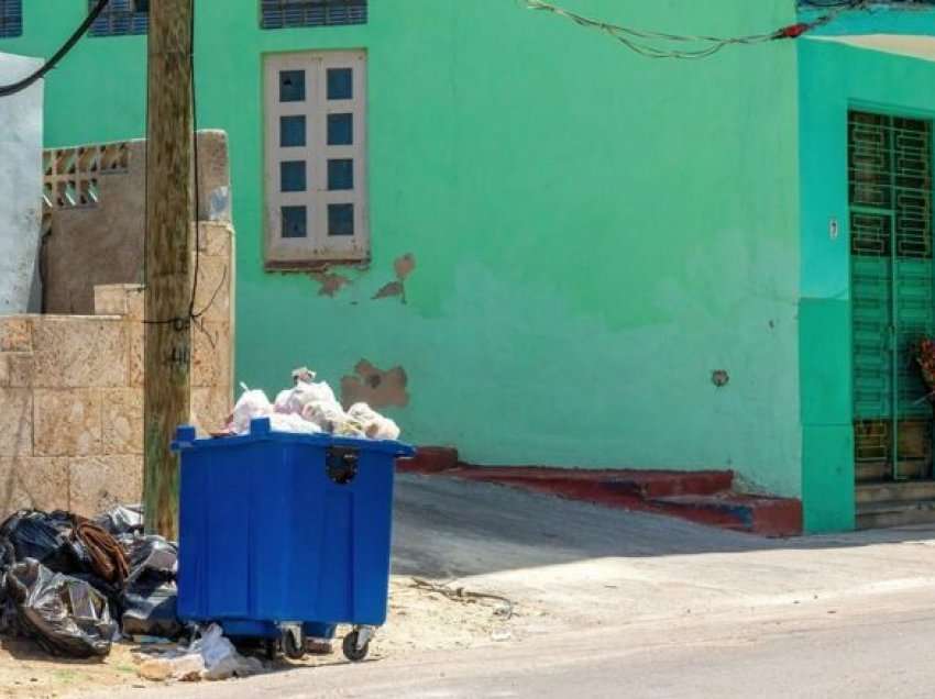 Humb jetën greku në kontejnerin e mbeturinave derisa kërkonte ushqim