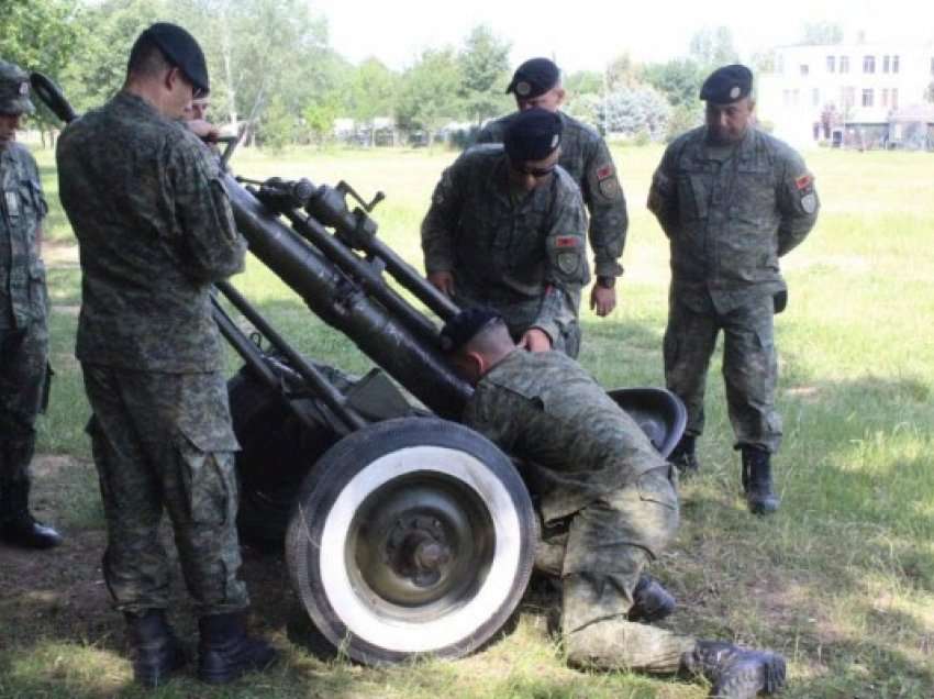 ​Ushtria e Kosovës dhe Shqipërisë në stërvitjen e përbashkët