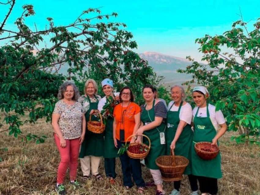 ​Turistë spanjollë në plantacionet e qershive në Berat