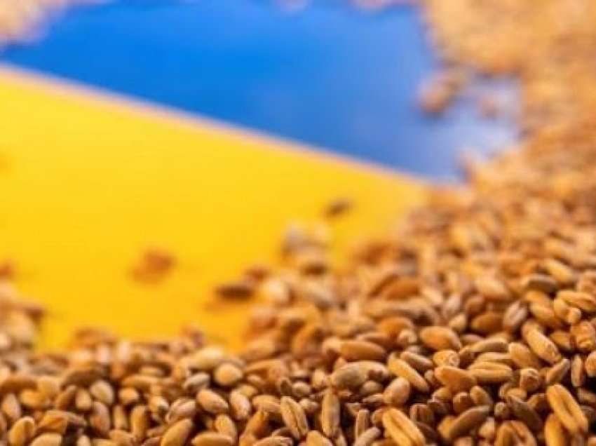 ​Rusia njoftoi rifillimin e marrëveshjes së grurit të Detit të Zi