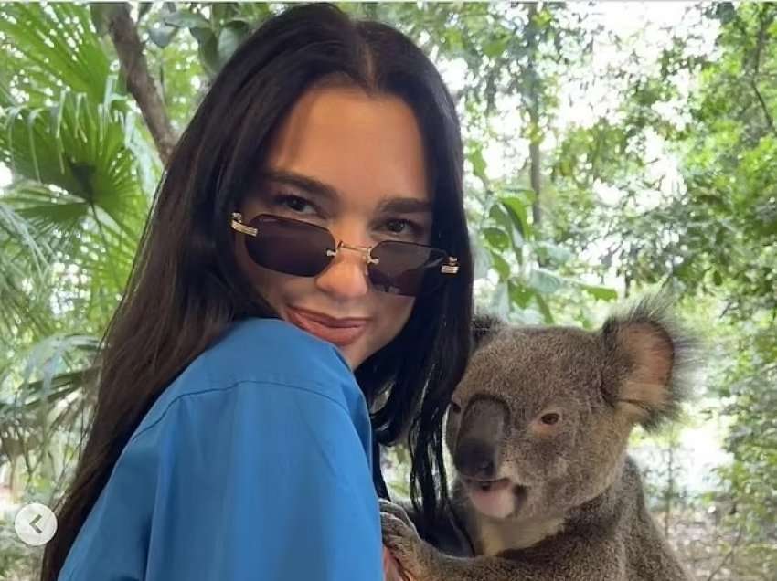 Dua Lipa me një koala, fotoja e ëmbël e këngëtares