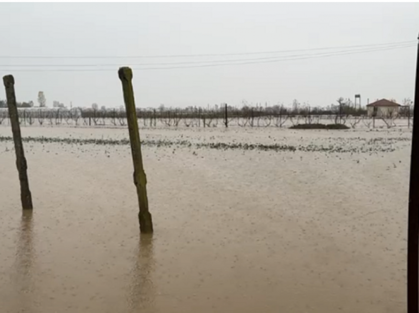 Vijojnë reshjet me intensitet të lartë në Lezhë, situata problematike në disa zona