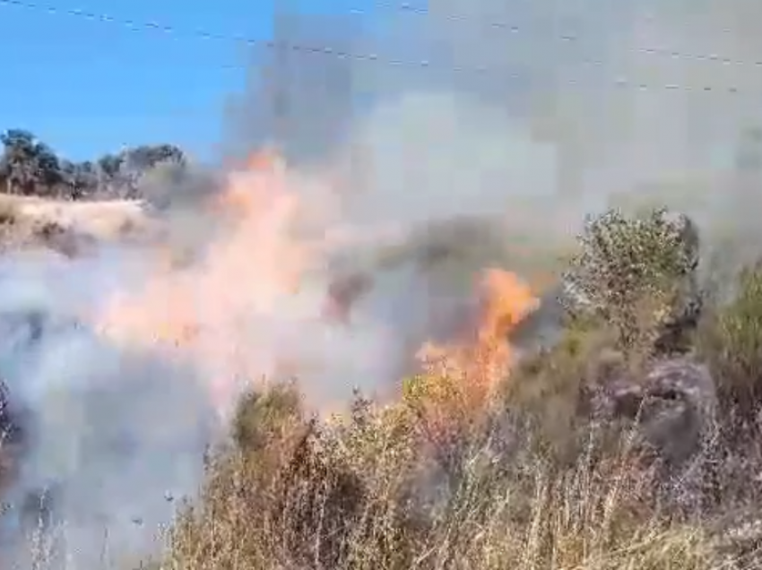 Zjarr në kodrat e Peshtanit në Fier, rrezikohen qindra ullinj