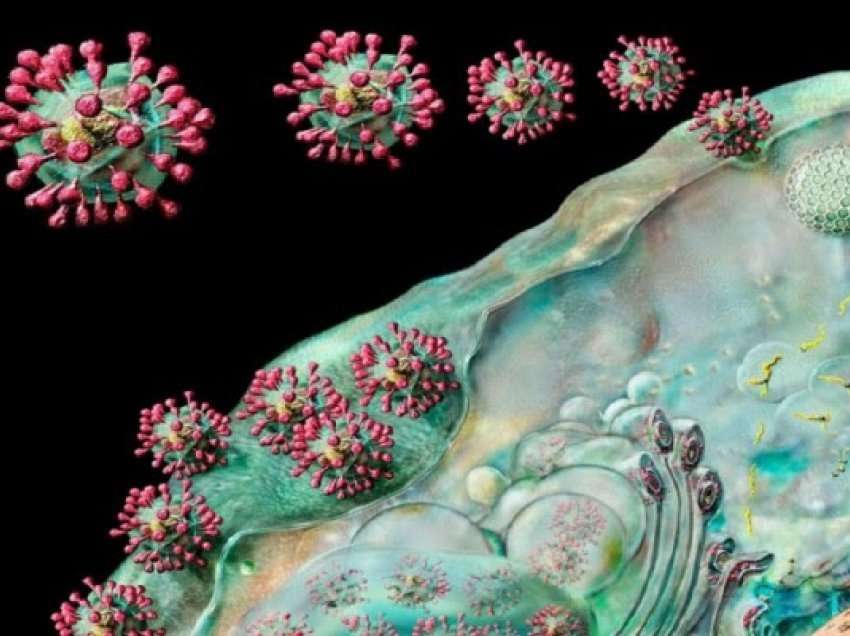 ​42 raste të reja me koronavirus në Kosovë
