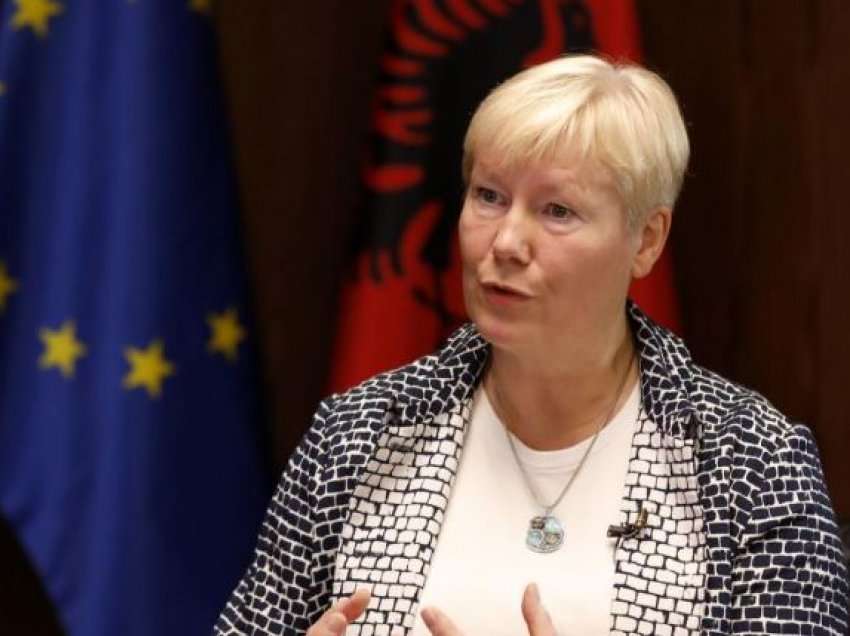 Ambasadorja e BE:Shqipëria të dalë nga lista gri e pastrimit të parave