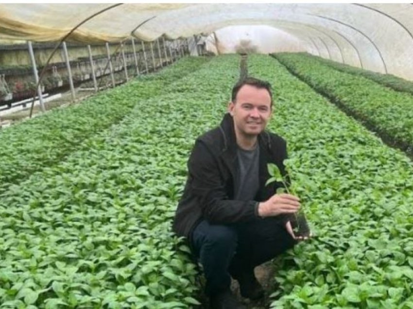 Peci premton përkrahje për bujqësinë organike: 100 euro shtesë për secilin hektar të mbjellur