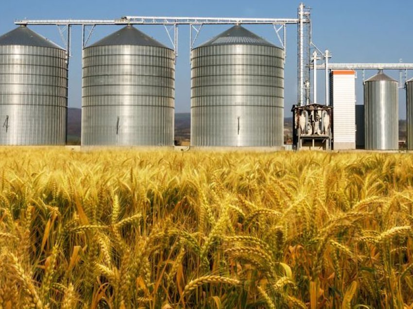 Komisioni Evropian do të ndalojë eksportet e grurit të Ukrainës në Rumani