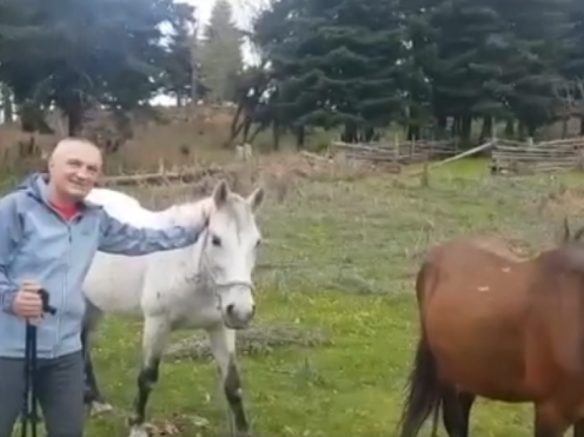 “Si te ‘Pylli i Lirisë'”, Meta poston videon pranë kuajve