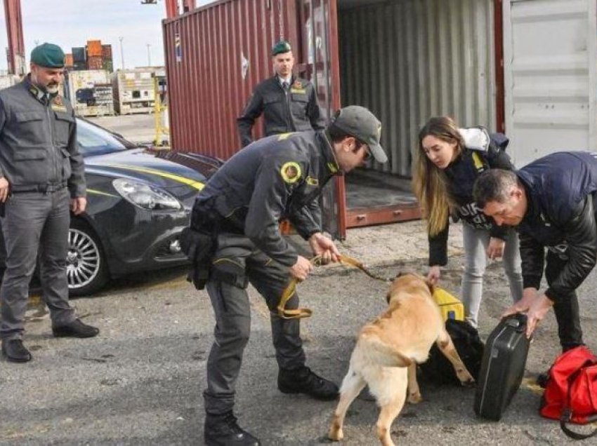 Kapet duke transportuar 50 kg kokainë mes karkalecave, arrestohet shqiptari në Itali