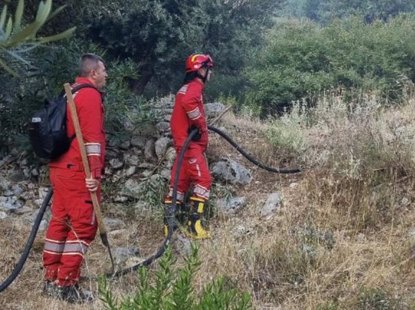 Zjarri në Porto Palermo, 40 efektivë për shuarjen e flakëve, ndërhyrje dhe nga ajri